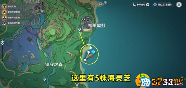 原神海灵芝采集点路线一览